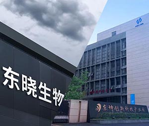嘿嘿视频在线观看 × 東曉生物 | 以科技助力農業價值升級